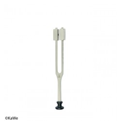 Diapason selon Lucae