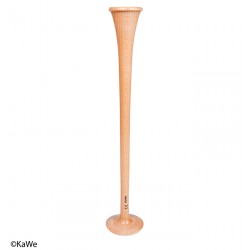 Pinar Stethoskop, gross